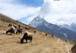 Distance Between the Places During Three Passes Trek