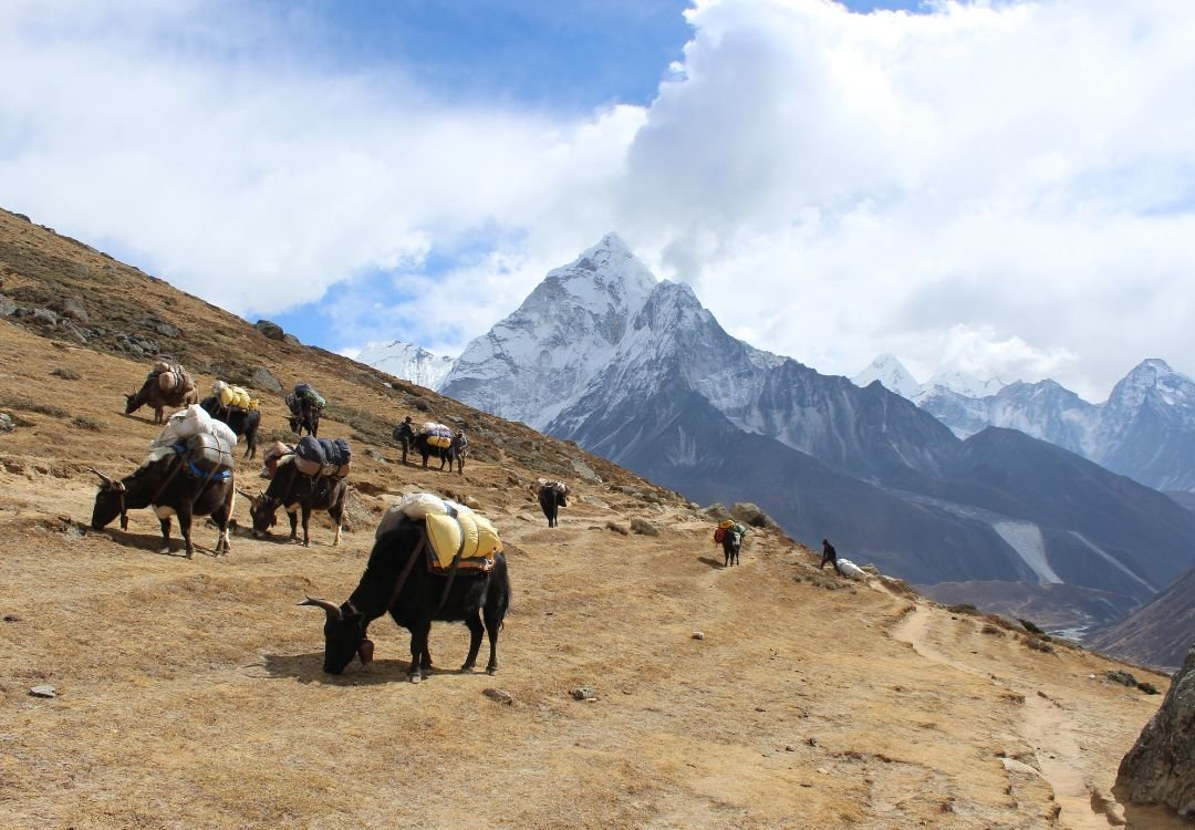 Distance Between the Places During Three Passes Trek