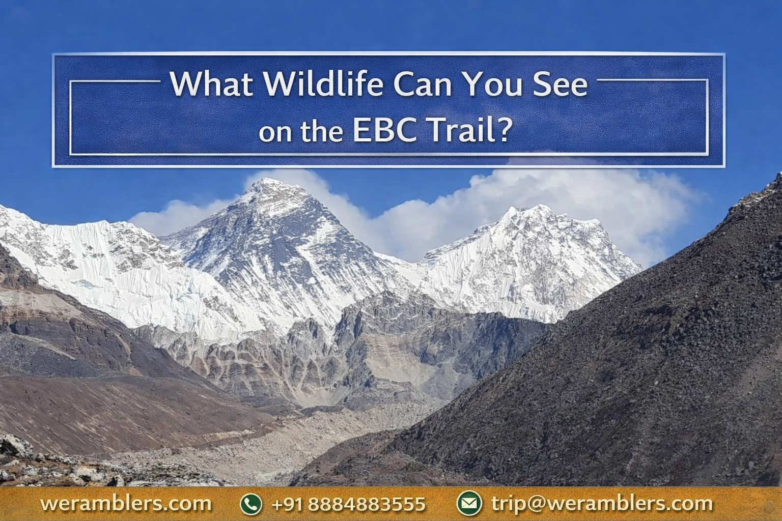 What Wildlife Can You See on the EBC Trail?