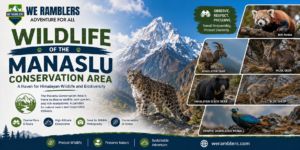 Wildlife of the Manaslu Conservation Area